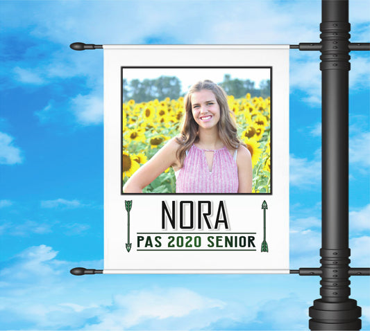 Pipestone Area School Main Street Boulevard Banners
